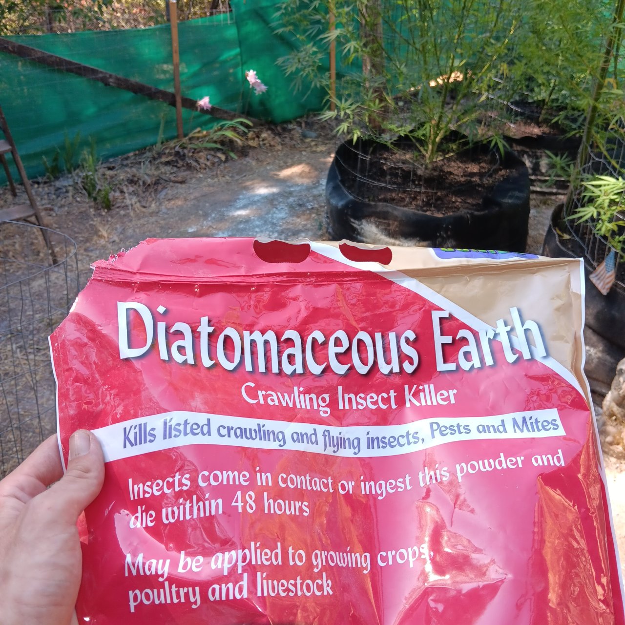 Diatomaceous earth