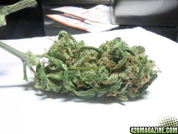 Diesel nug