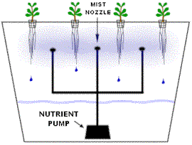 Different Grow Systems