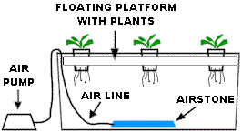 Different Grow Systems