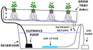 Different Grow Systems