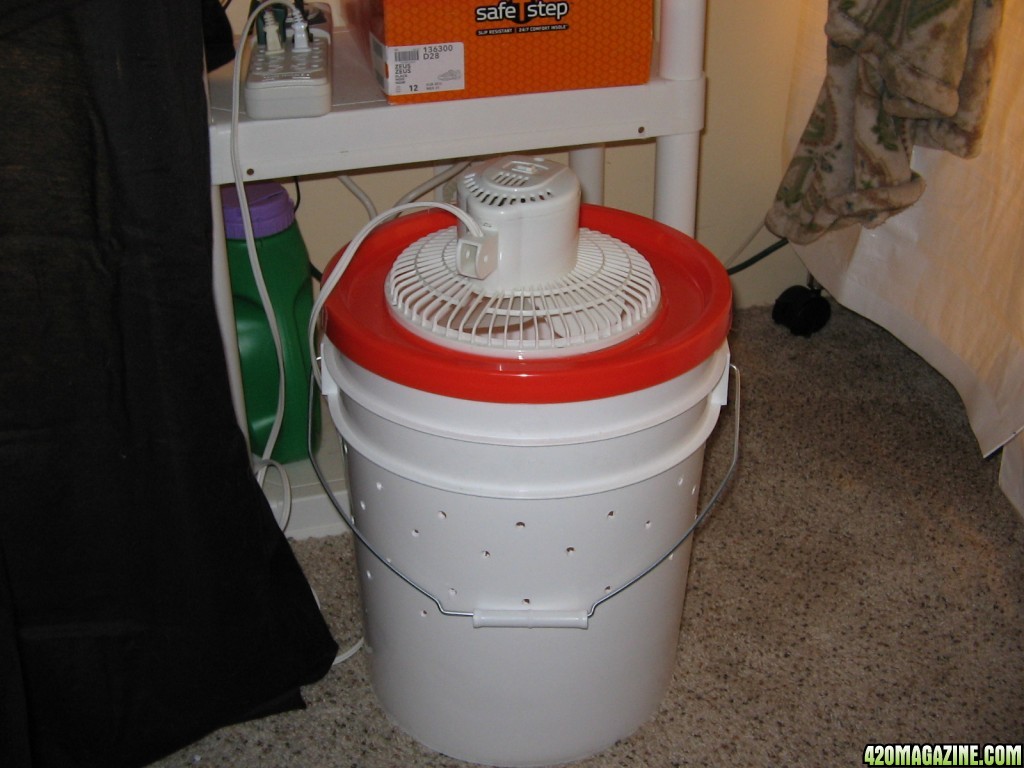 DIY bucket on a budget 1