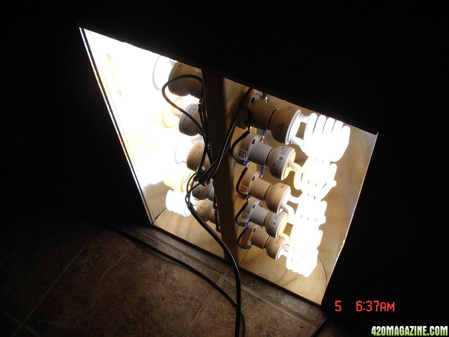 DIY CFL