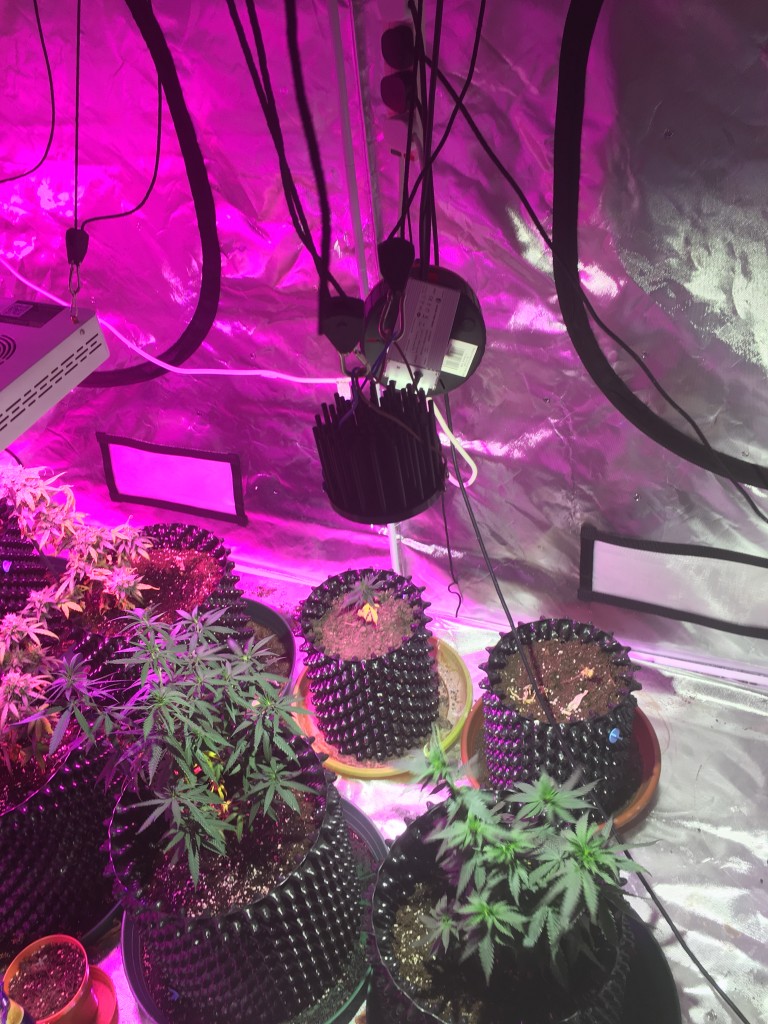 DIY COB LED build, all up and running