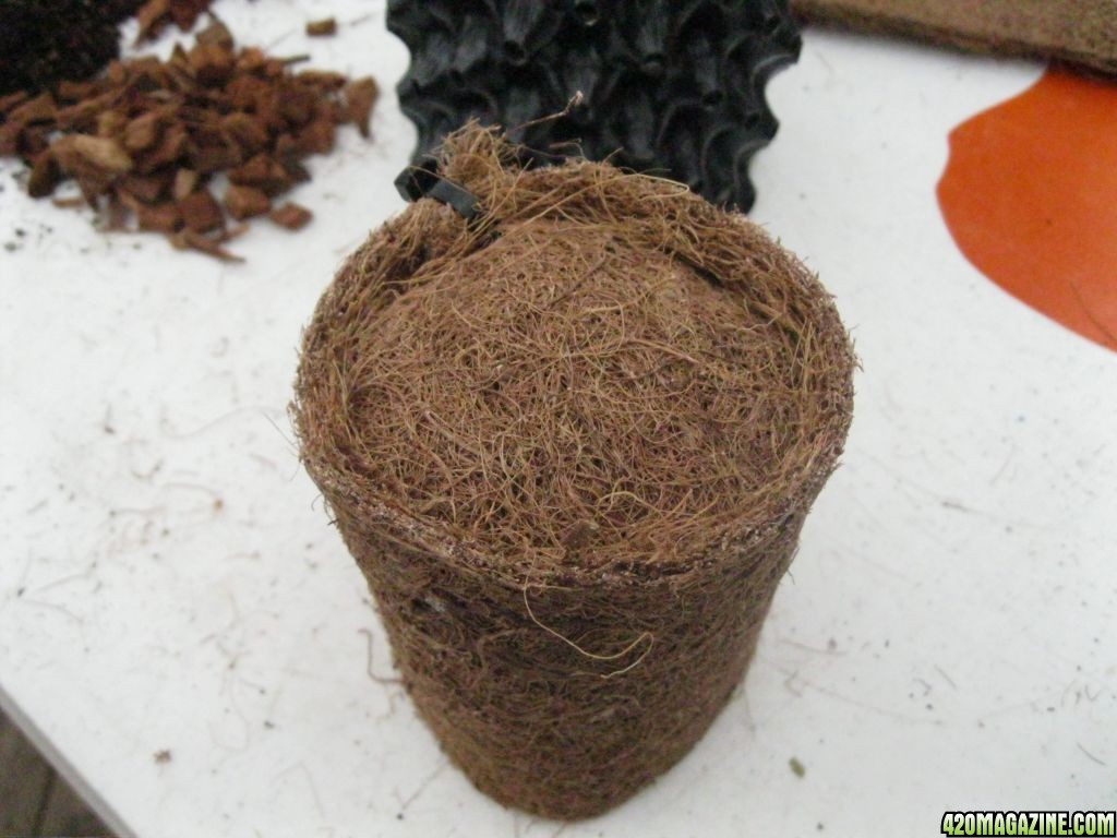 diy coco pot