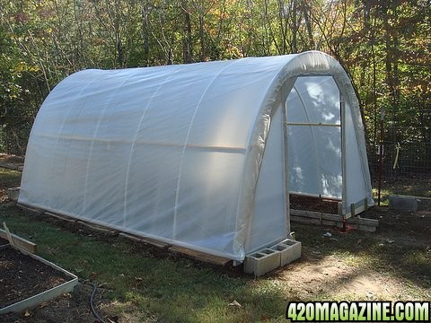 DIY Greenhouse