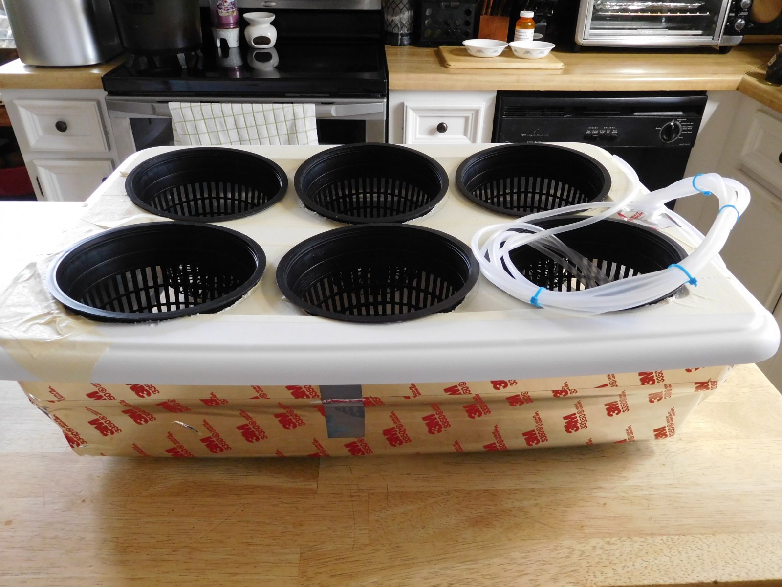 diy tuperware 6x6in net pots pre tray (6).JPG