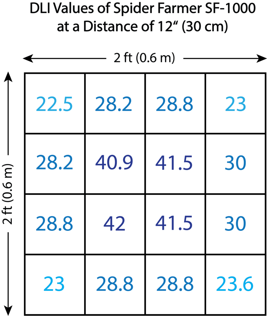 DLI-Values-Spider-Farmer-865x1024.png