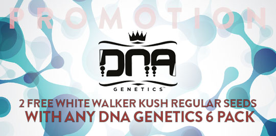 DNA Genetics Promo