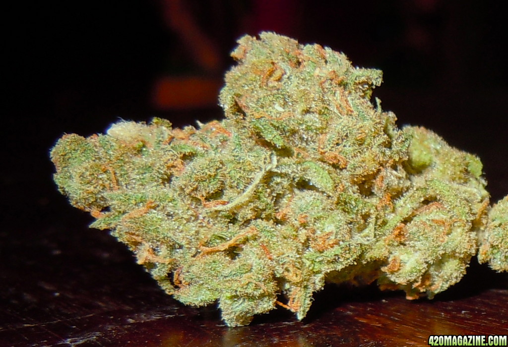 Doc's Jack Herer