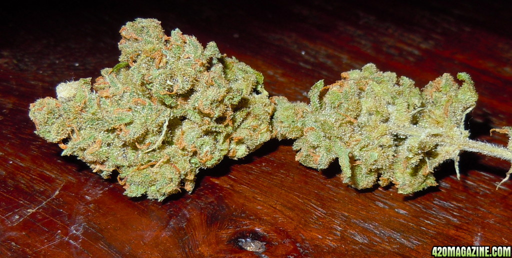 Doc's Jack Herer