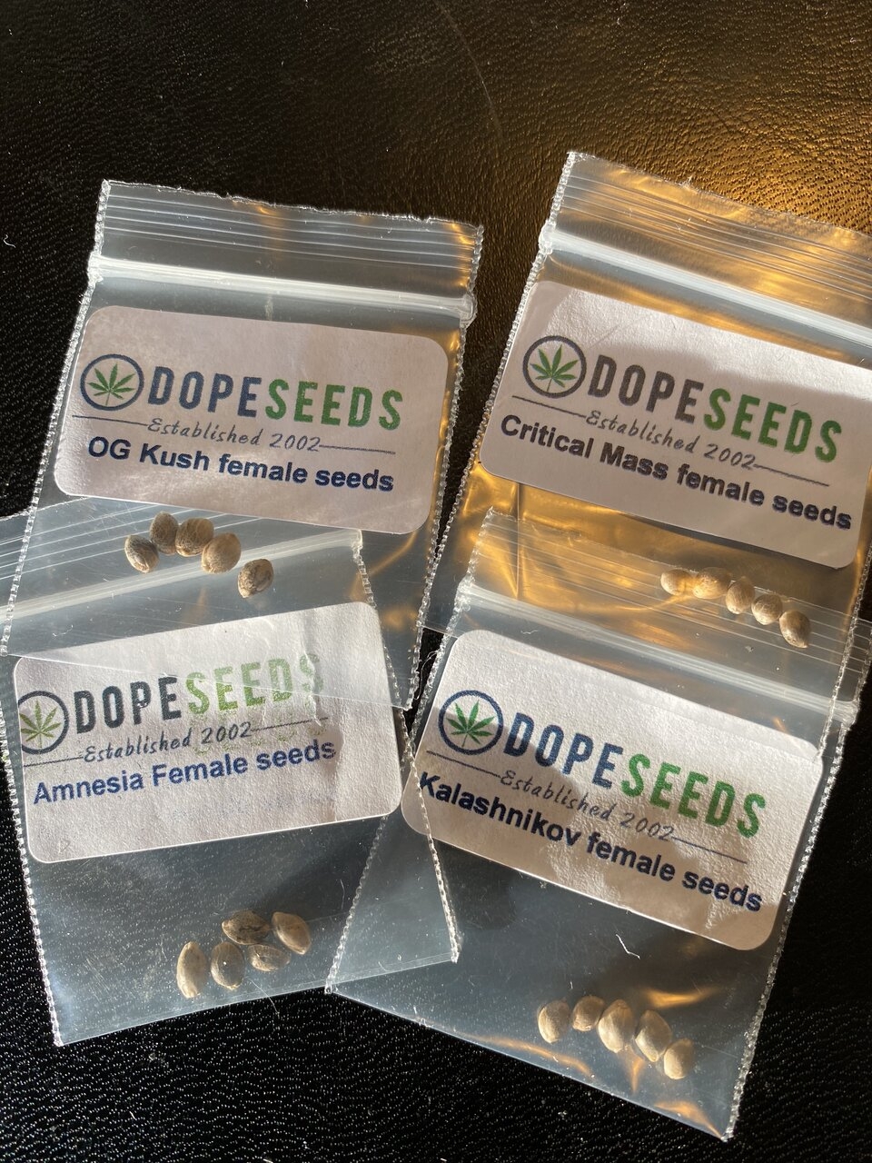 Dope Seeds - contest winnings!