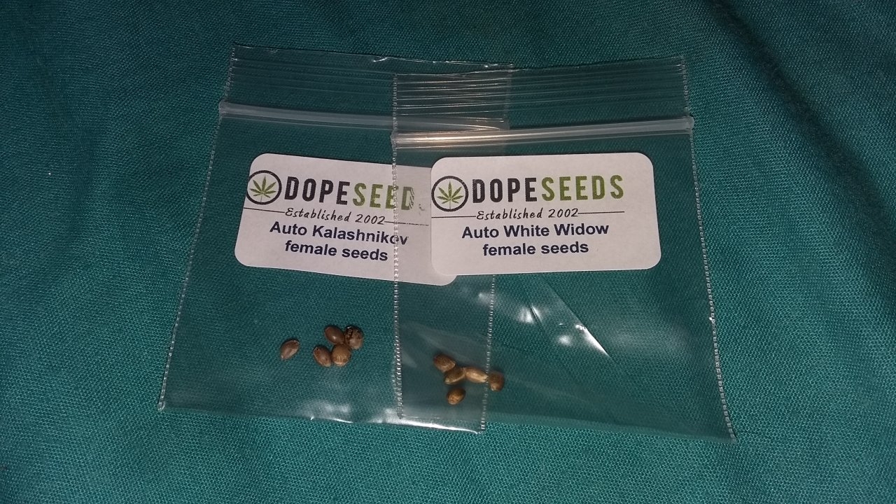 Dope seeds prize :D