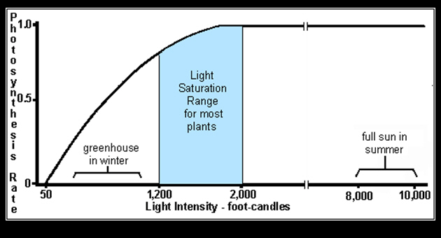 Dose Response Curve_Light Saturation in Plants