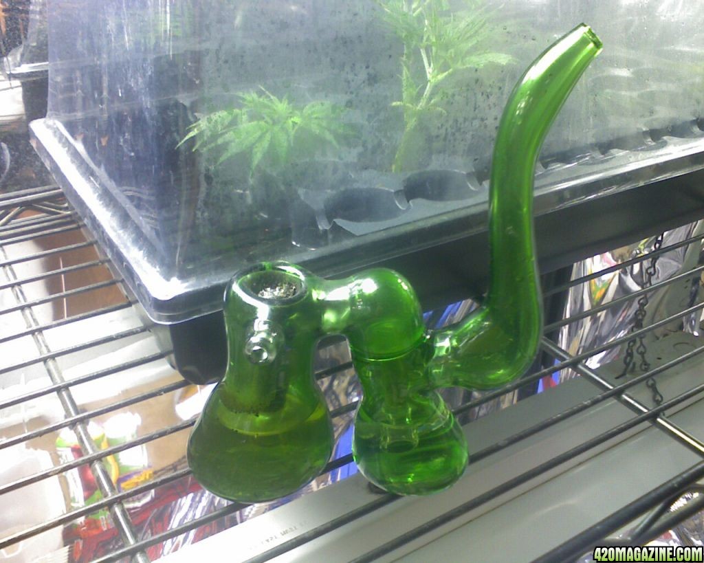 Double Bubbler!