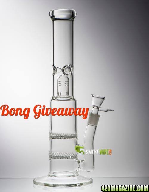 double honeycomb bong