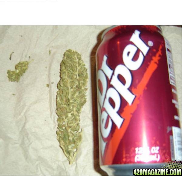 dr pepper budz