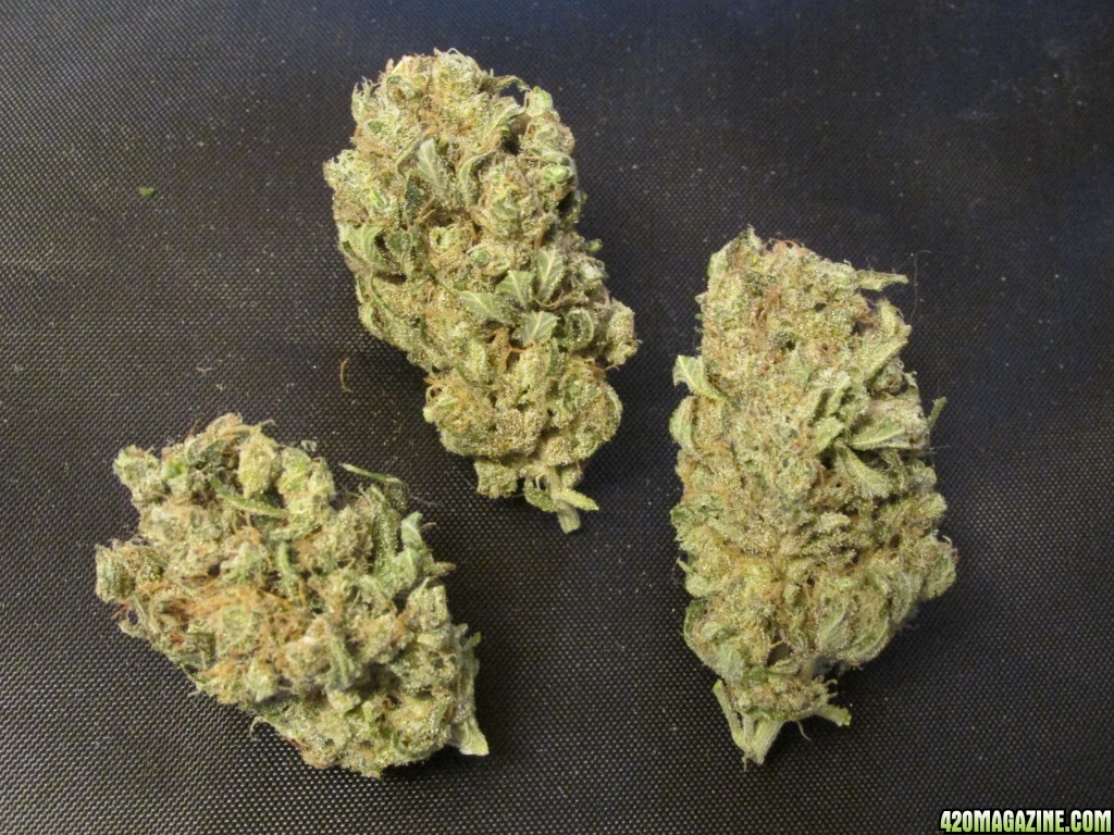 dried buds