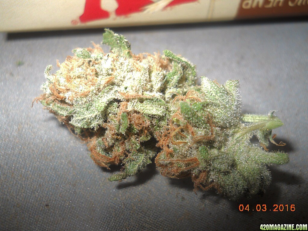 Dried Green Crack Nug