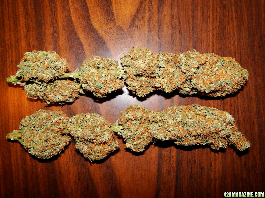 Dried_G_D_P_x_AK-47_Colas