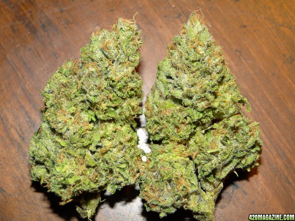 Dried_Organic_Blueberry_x_Cheese_Nuggets