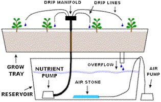 DRIP System