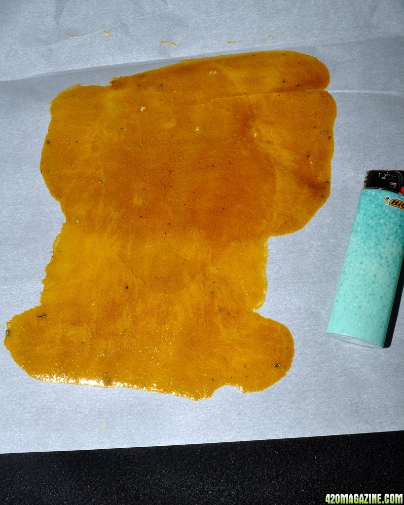 DSC_6225_wax