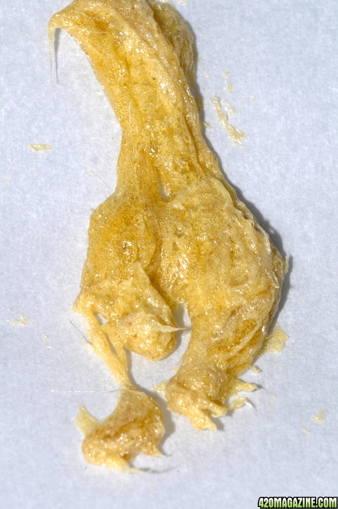 DSC_6720_prb_wax