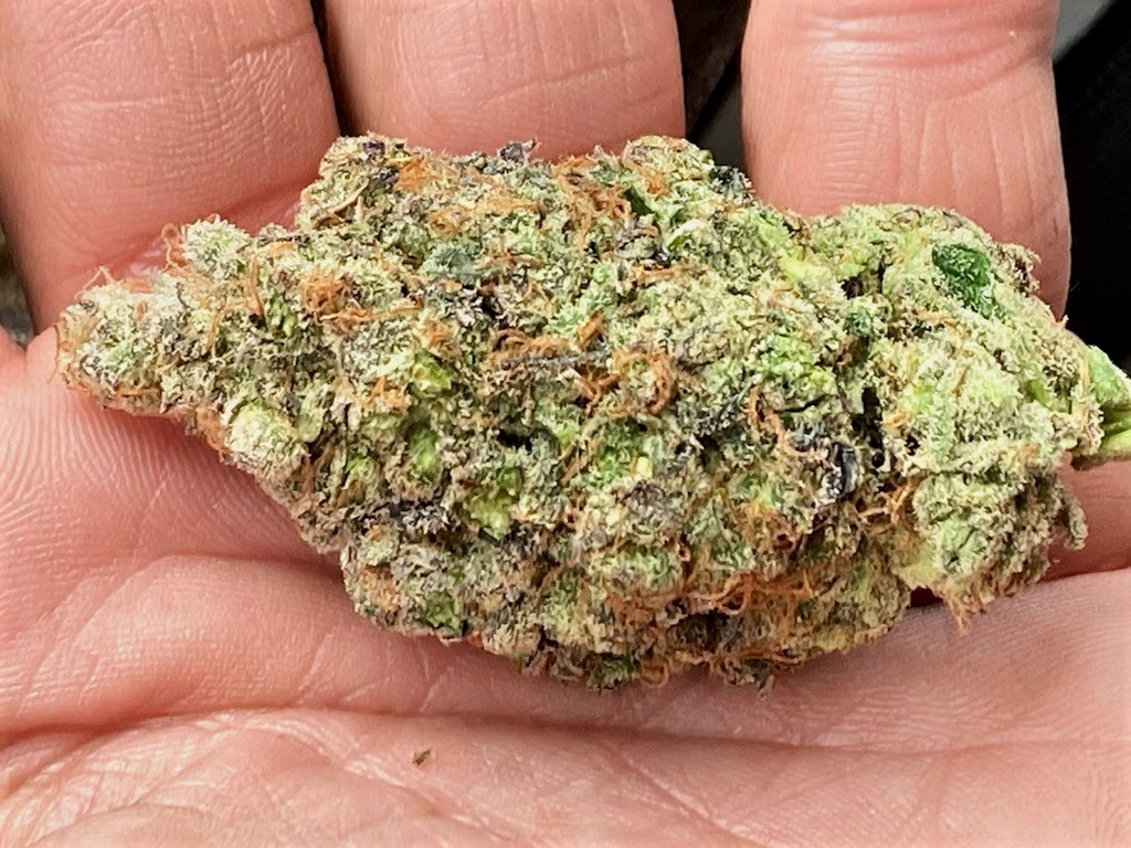 DSD wet trimmed bud #2.jpg