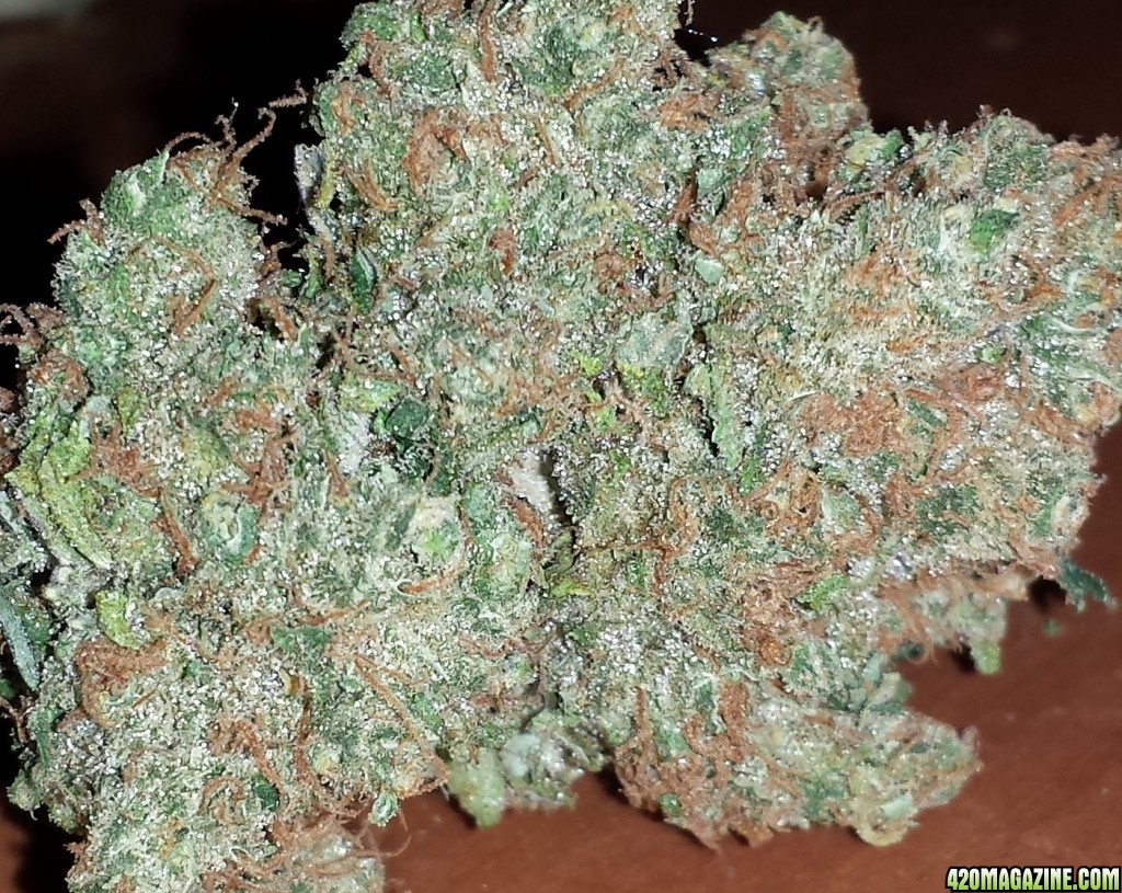 Durban Poison