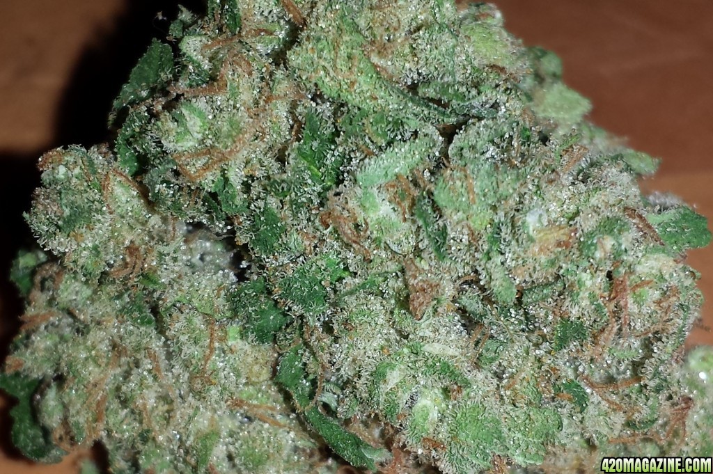 Durban Poison