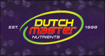 Dutch Master