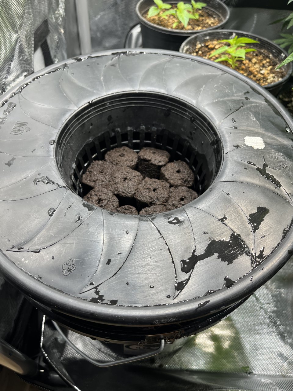 Dwc cloning bucket