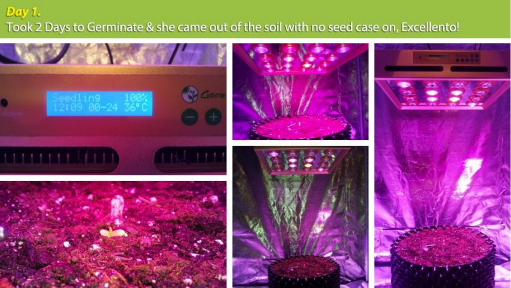 E.shine 5G GrowSun 320W Grow Test