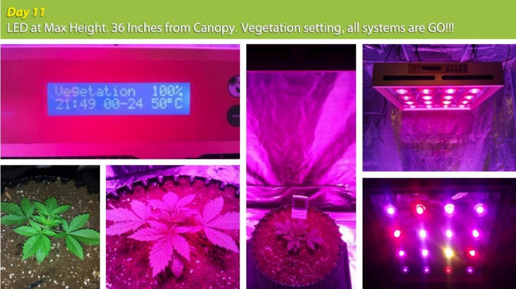 E.shine 5G GrowSun 320W Grow Test