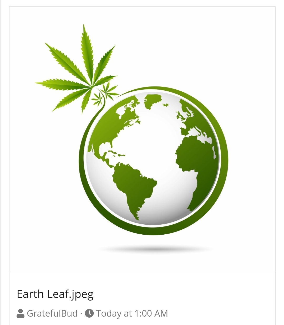 earh leaf.jpg