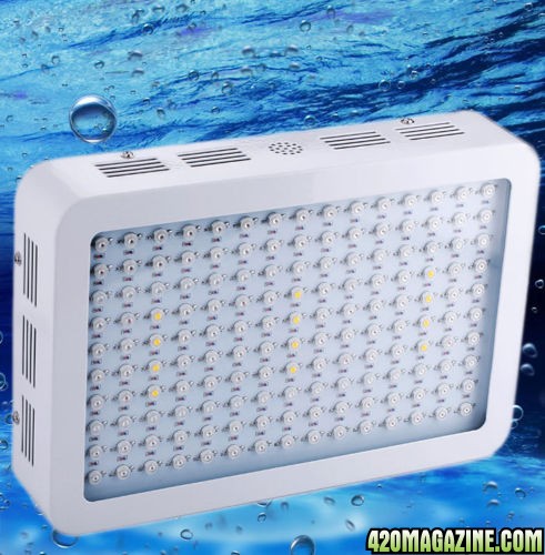 Ebay LED lights