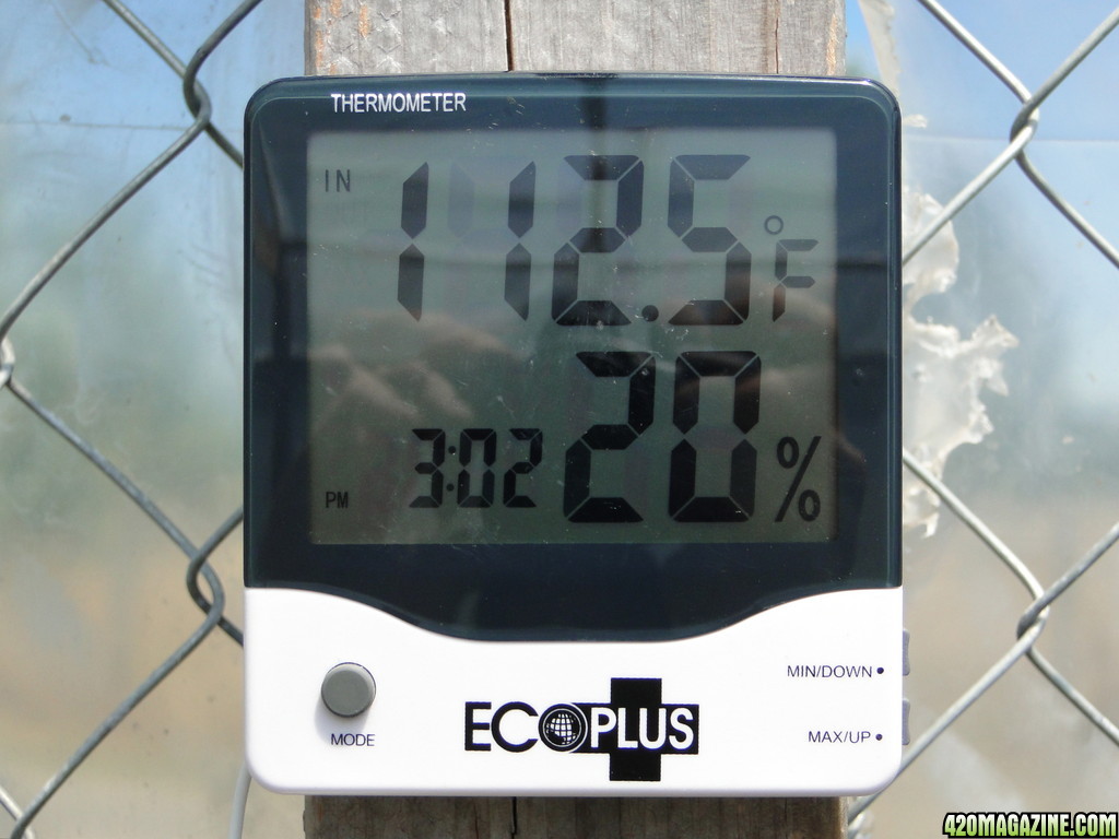 Eco-Plus Thermostat/Humidity/Clock