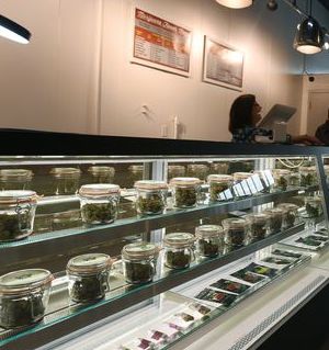 El Paso Dispensary