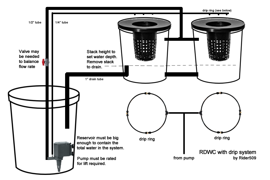 elevated RDWC with drip system