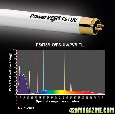 end-power-veg-fs-uv