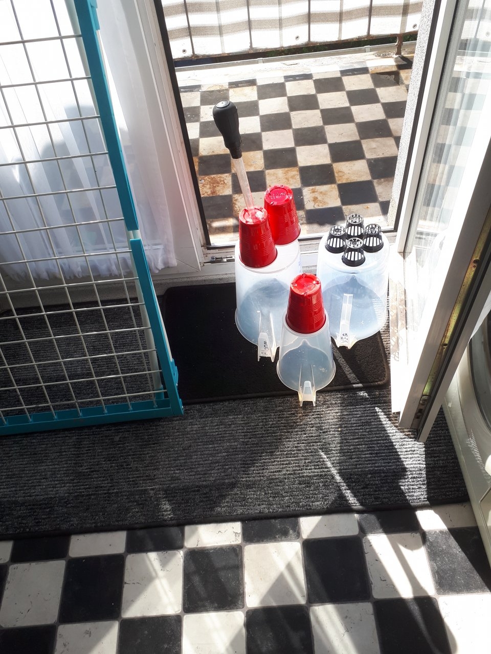 Equip drying in the sun after washing and or rinsing.jpg