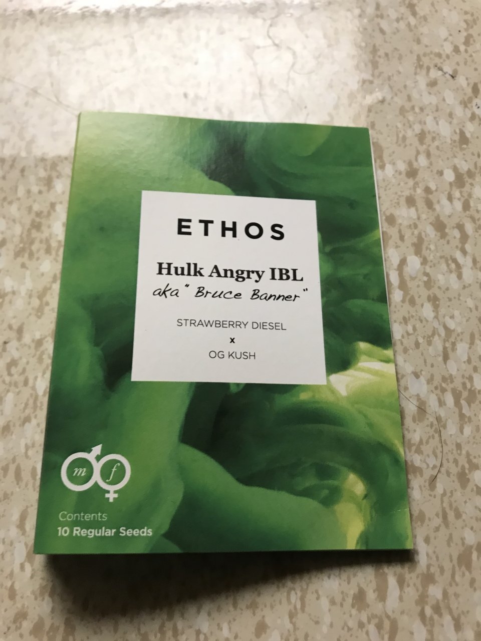 Ethos - Hulk Angry