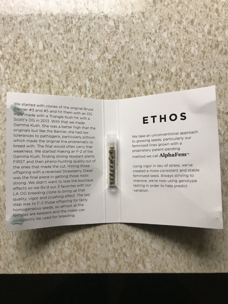 Ethos - Hulk Angry