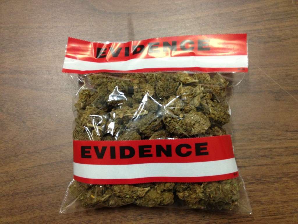 evidence bag of bud