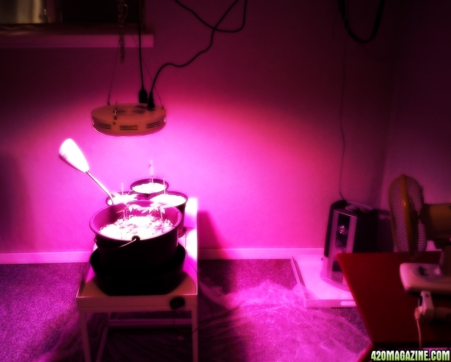 Experimenting with cheap LED setups