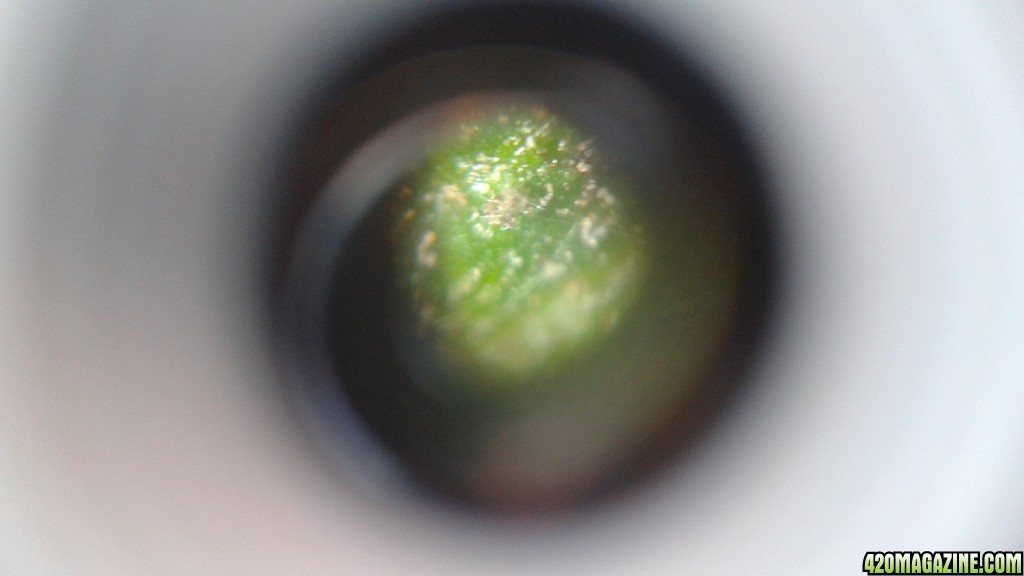 Eye through th scope