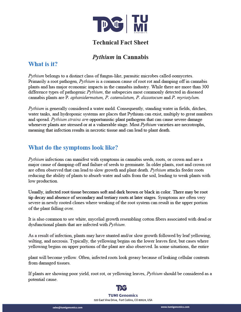 Fact+Sheet+Pythium_TUMI_Genomics1024_1.jpg