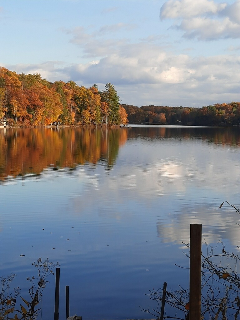 fall on the lake.jpg