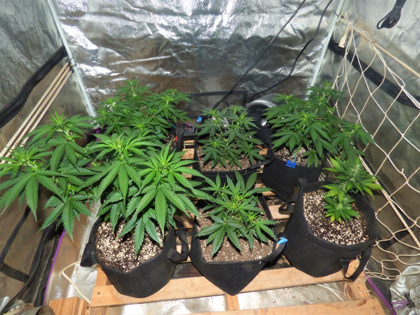 Fam Pic Autos Jan 27.JPG